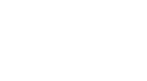 les schwab white logo